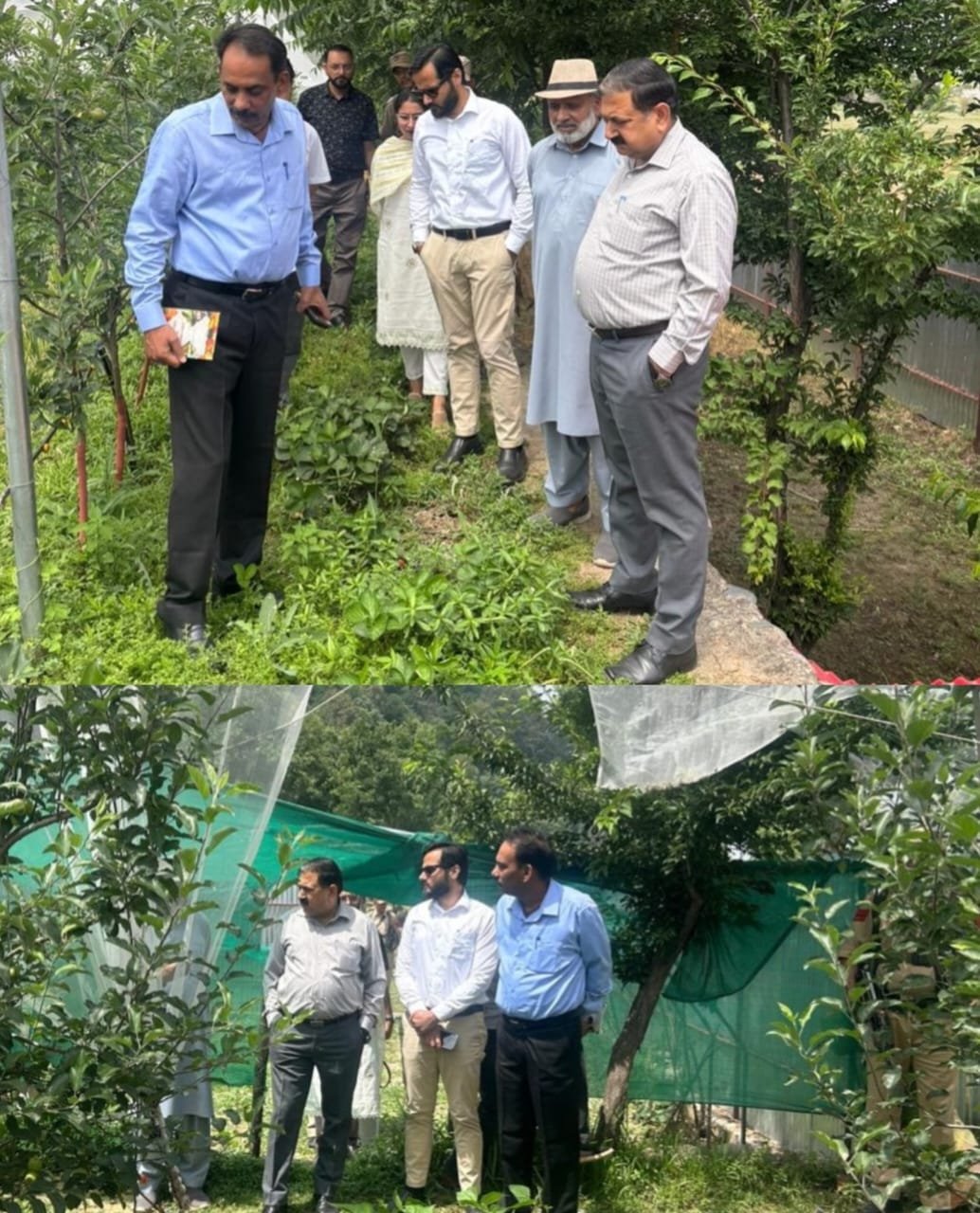Farmers establish Ultra High-Density Orchards in Poonch Villages by availing HADP support system