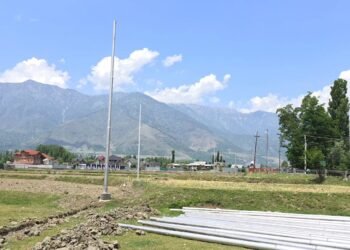 PDD Stops Electric Pole Installation Work on Ring Road 2A in Ganderbal Following Alleged Irregularities