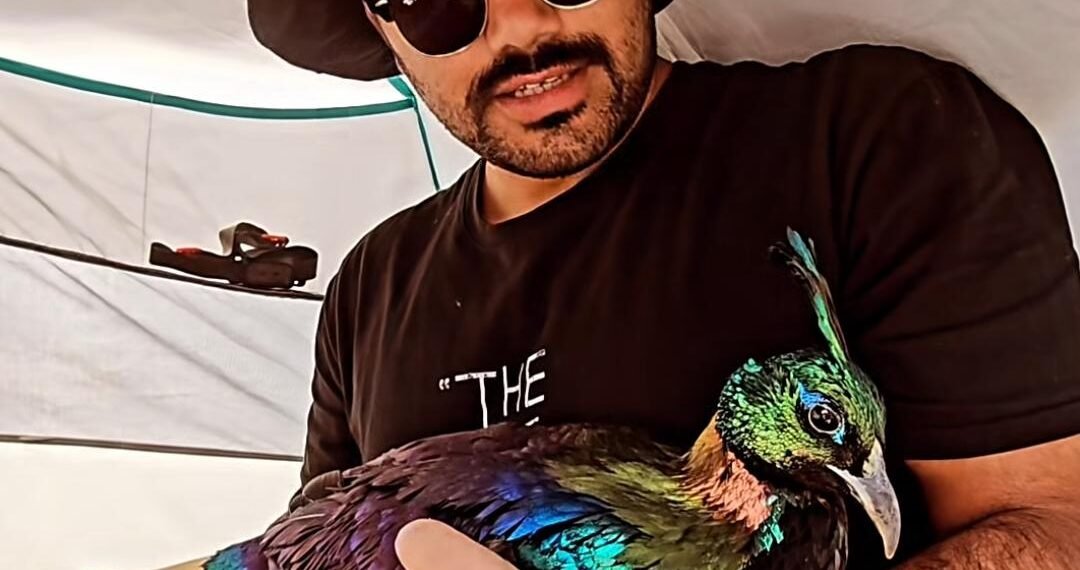 Baramulla Youth Rescues Rare Himalayan Monal in Sonamarg, Hands It Over to Wildlife Authorities