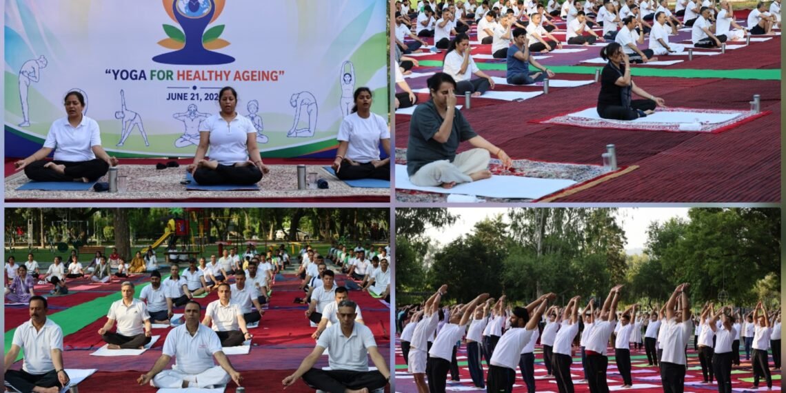 White Knight Corps Marks International Yoga Day Across Pir Panjal to Rajouri Frontiers