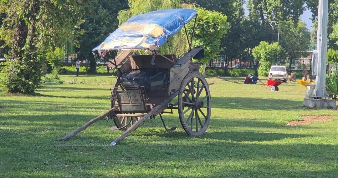 From Scrap to Spectacle: Floriculture Department Unveils Eco-Art Garden at Srinagar’s Iconic City Square