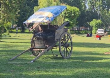 From Scrap to Spectacle: Floriculture Department Unveils Eco-Art Garden at Srinagar’s Iconic City Square