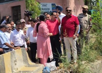 Deputy CM inspects Jeevan Nagar Bridge project, assesses restoration works at Mubarak Mandi Heritage Complex