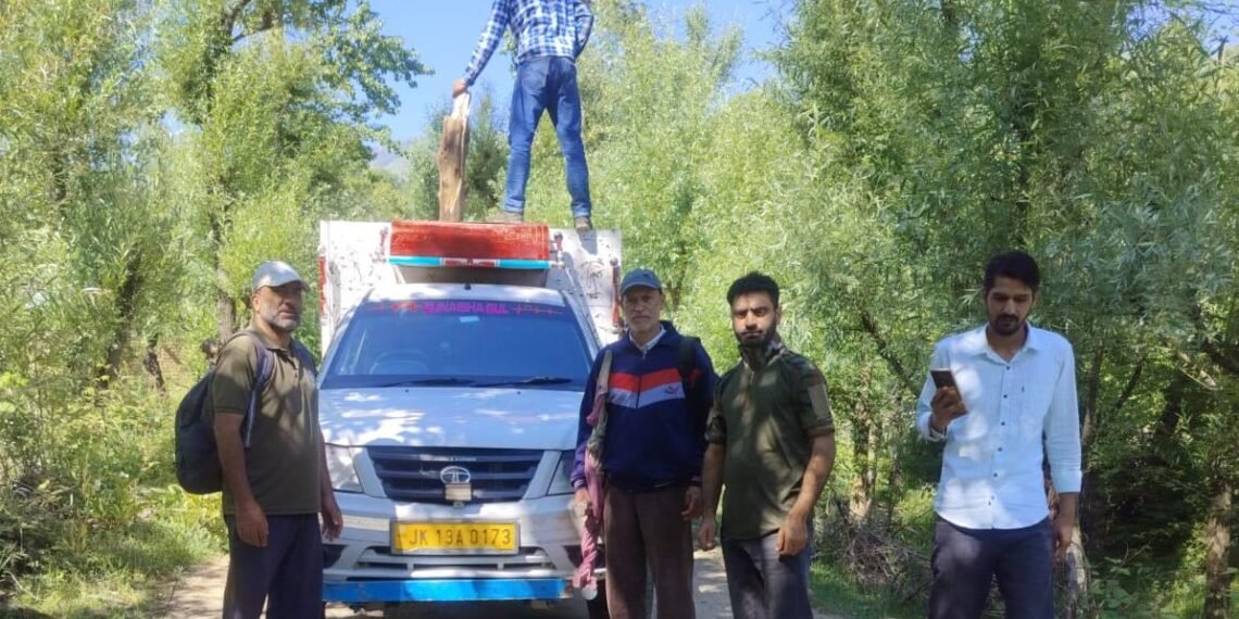 Black bears captured in Kulgam village, one released into wild