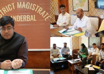 DC Ganderbal reviews progress achieved under Mission YUVA; 163 cases approved for financial support