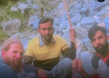 Bandipora Musk Deer Killing: Two Booked Following Earlier Warrant Issuance, One Absconding