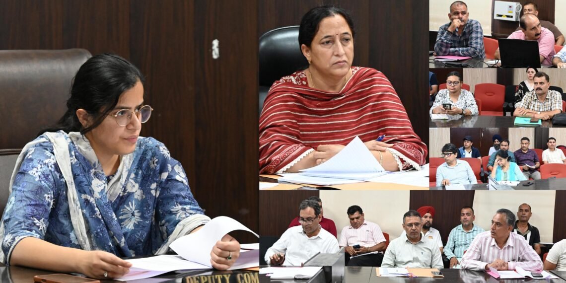 DDC Samba reviews progress of HADP, JKCIP; 552 beneficiaries approved under various projects