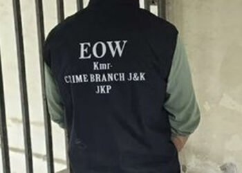 EOW Kashmir Files Chargesheet Against Four for Securing Health Dept Jobs with Fake Degrees