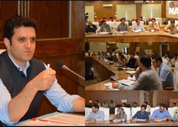 DC Budgam chairs meeting on disaster preparedness in view of current weather advisory