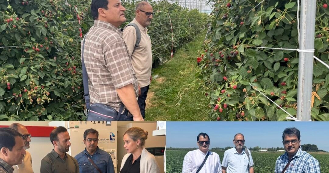J&K explores global best practices to modernise horticulture sector, enhance farmer income