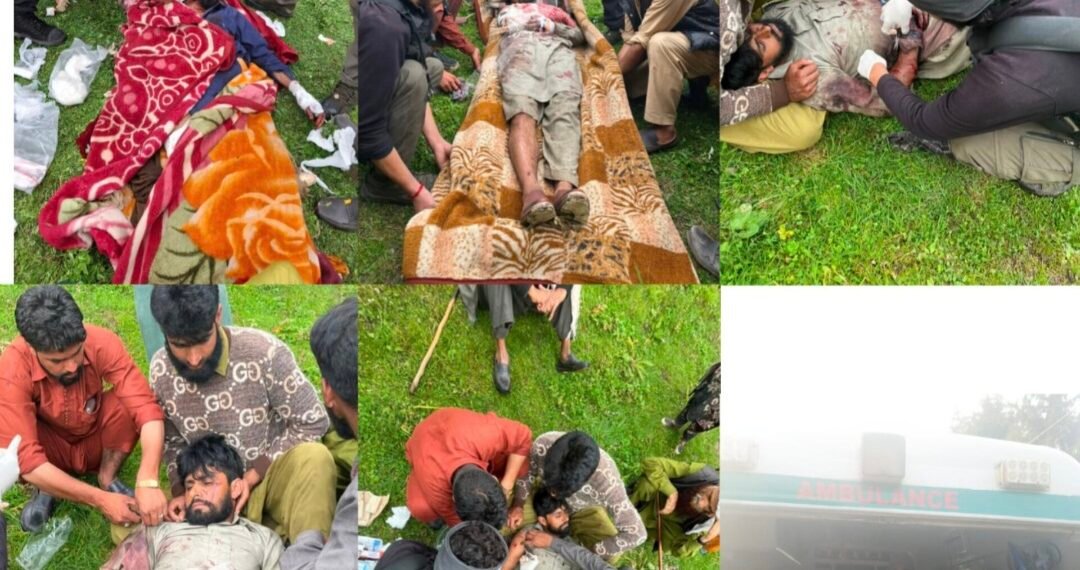 Indian Army Rescue Team Saves Two Civilians After Bear Attack In Dachigam Forests