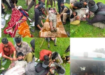 Indian Army Rescue Team Saves Two Civilians After Bear Attack In Dachigam Forests