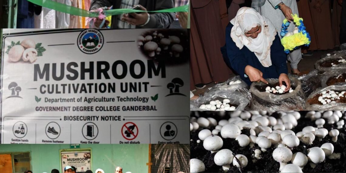 Mushroom Cultivation Unit Inaugurated at GDC Ganderbal
