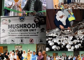 Mushroom Cultivation Unit Inaugurated at GDC Ganderbal
