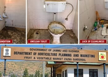 Neglected Washrooms at Zazna Fruit Mandi Leave Drivers, Non-Local Visitors Inconvenienced