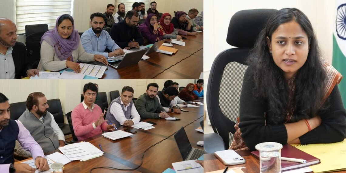 DC Ganderbal Reviews 460 Cases Under Mission YUVA, Stresses Timely Verification and Processing
