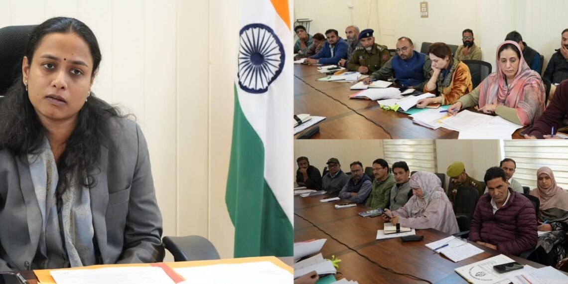 DC Ganderbal Shreya Singhal Reviews Road Safety Measures; Directs Strict Enforcement of Traffic Rules and Safety Upgradation at Accident Prone Spots