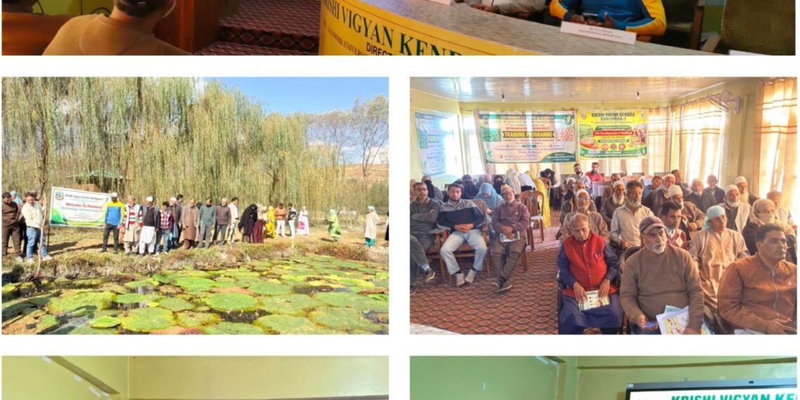KVK Bandipora-1 strengthens Farmer Capacity for Commercial Makhana Production in Kashmir