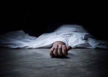 Driver Dies After Truck Hits Divider In Ramban
